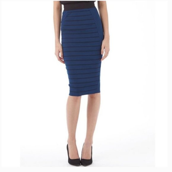 Ted Baker Dresses & Skirts - ted baker blue Sashaey Ottoman Knit Skirt 2 nwot